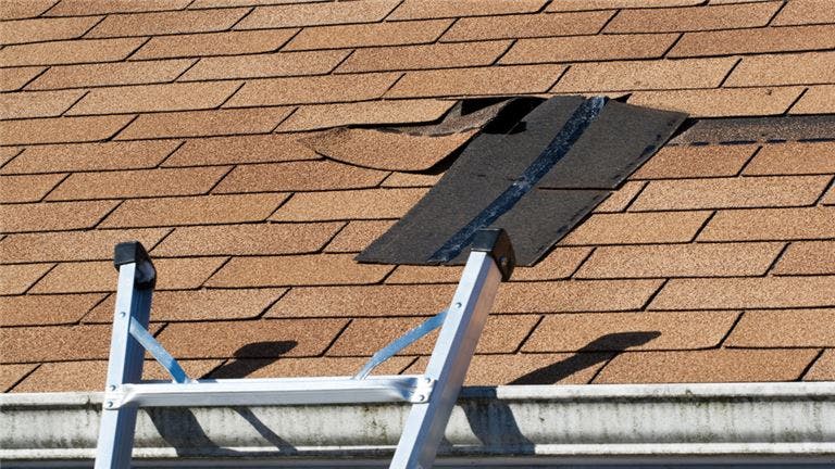 Long standing and profitable roofing company